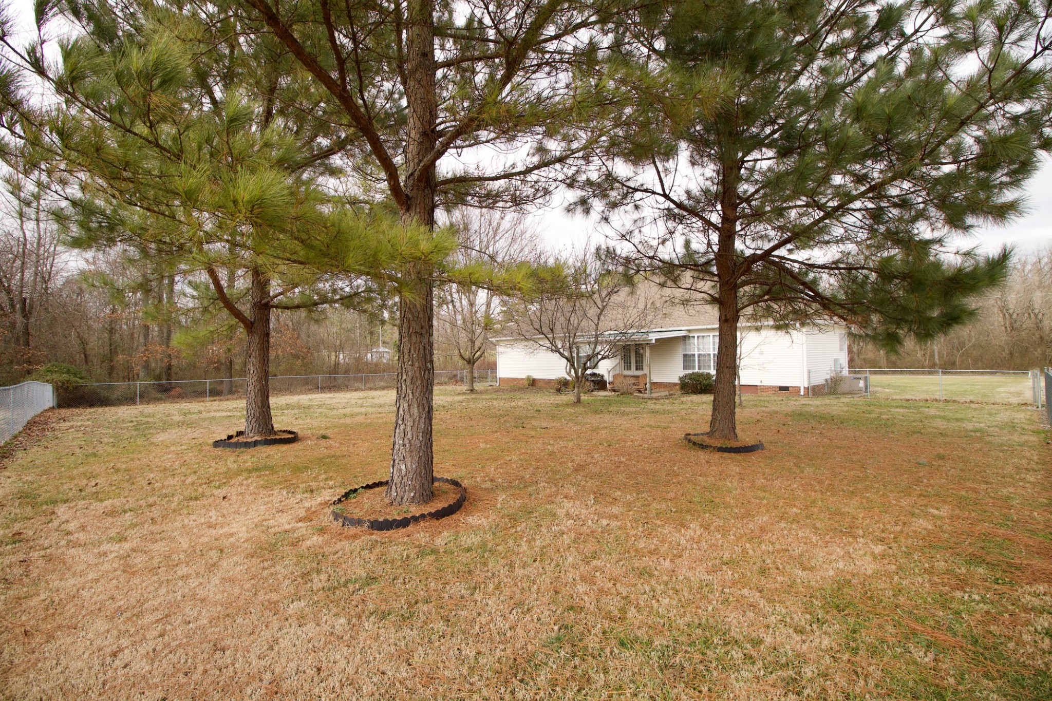 476 Jim Courtney Road Portland, TN 37148 - Photo 8 of 18 a view of street with trees