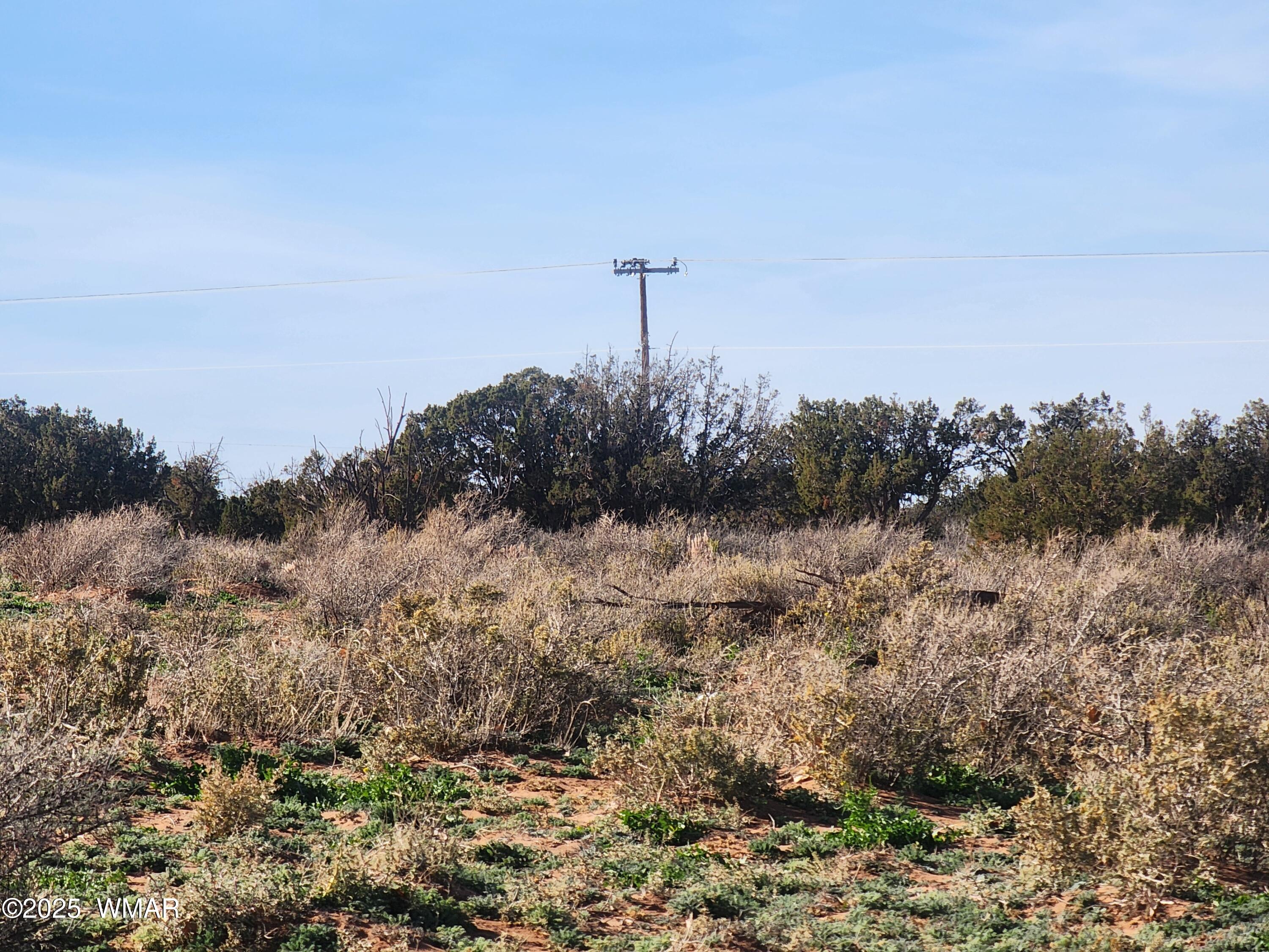 4726 Hay Hollow Road Snowflake, AZ 85937 - Photo 12 of 14 a view of a dry yard with lots of bushes