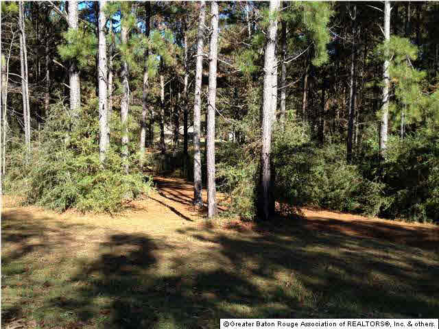 3641 Lower Liberty Gloster Road Liberty, MS 39645 - Photo 2 of 20