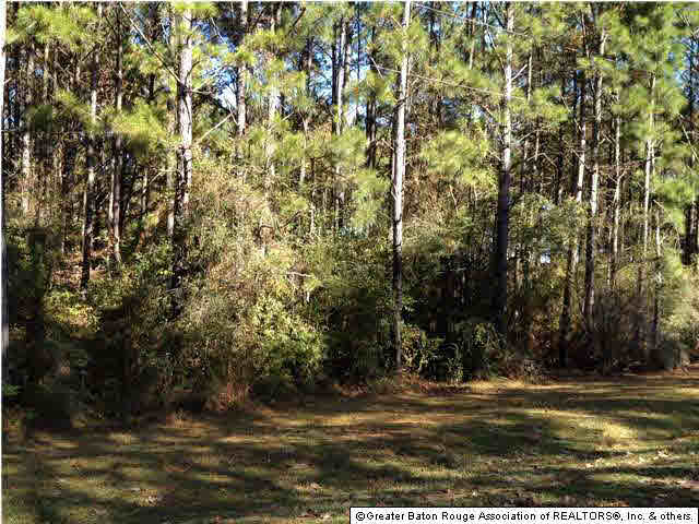 3641 Lower Liberty Gloster Road Liberty, MS 39645 - Photo 8 of 20
