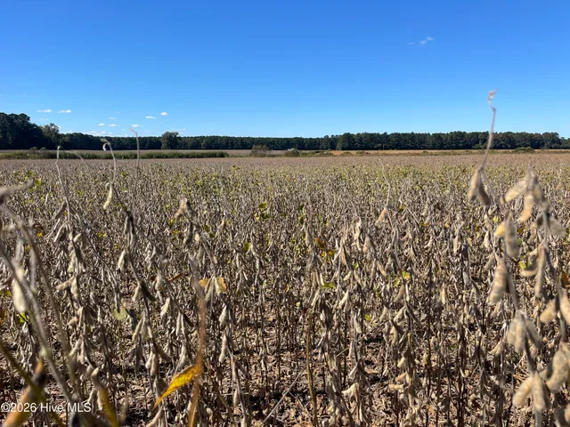 $48,000 | 0 Southwood Road, Kinston, NC 28501