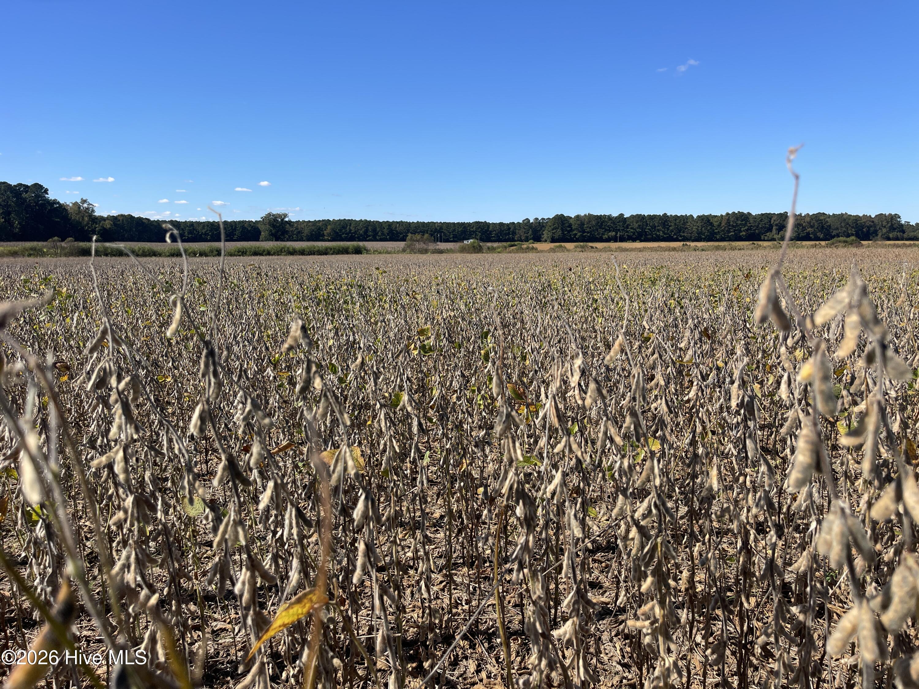 0 Southwood Road Kinston, NC 28501 - Photo 2 of 8 IMG_3715