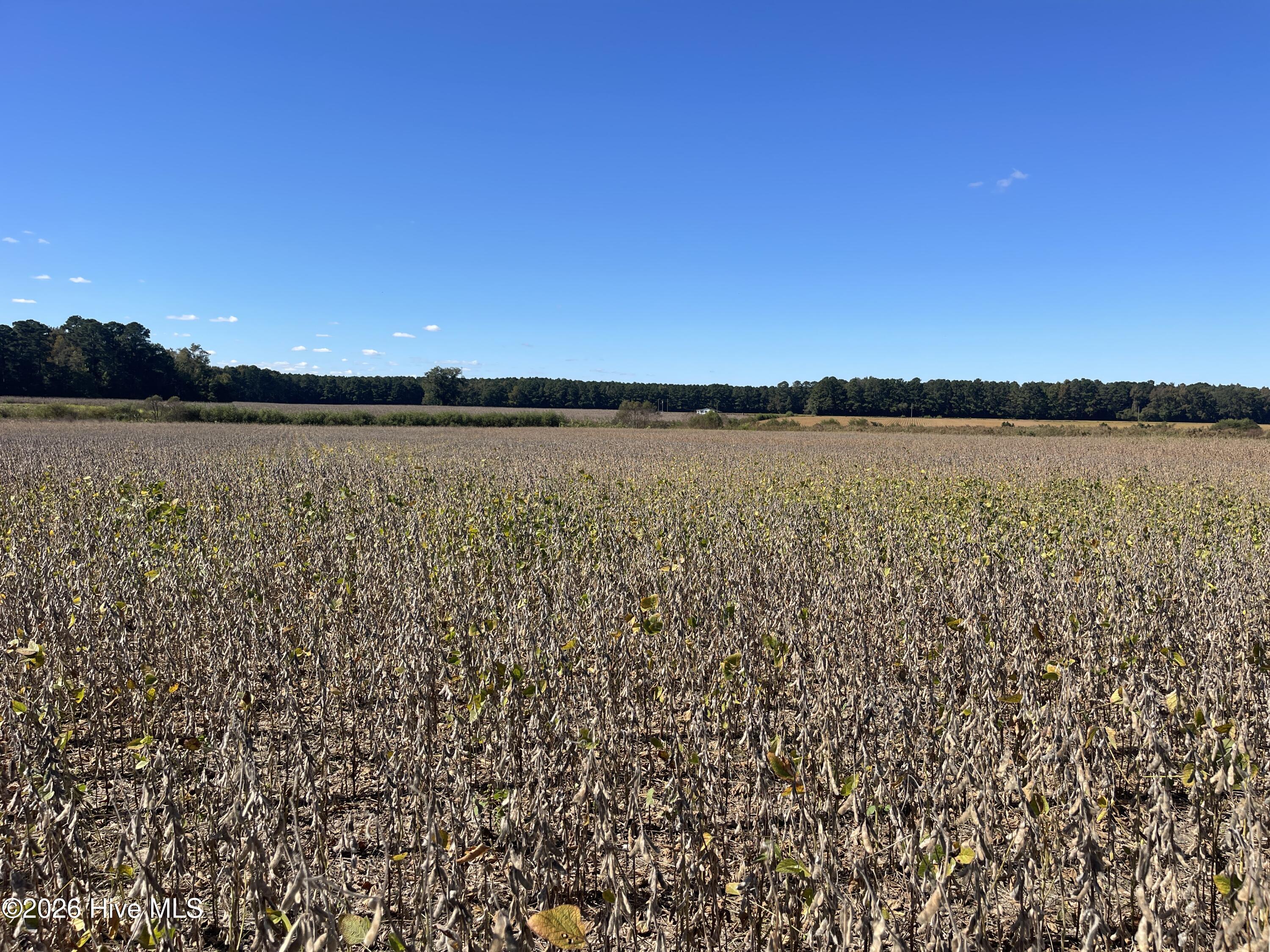 0 Southwood Road Kinston, NC 28501 - Photo 3 of 8 IMG_3714