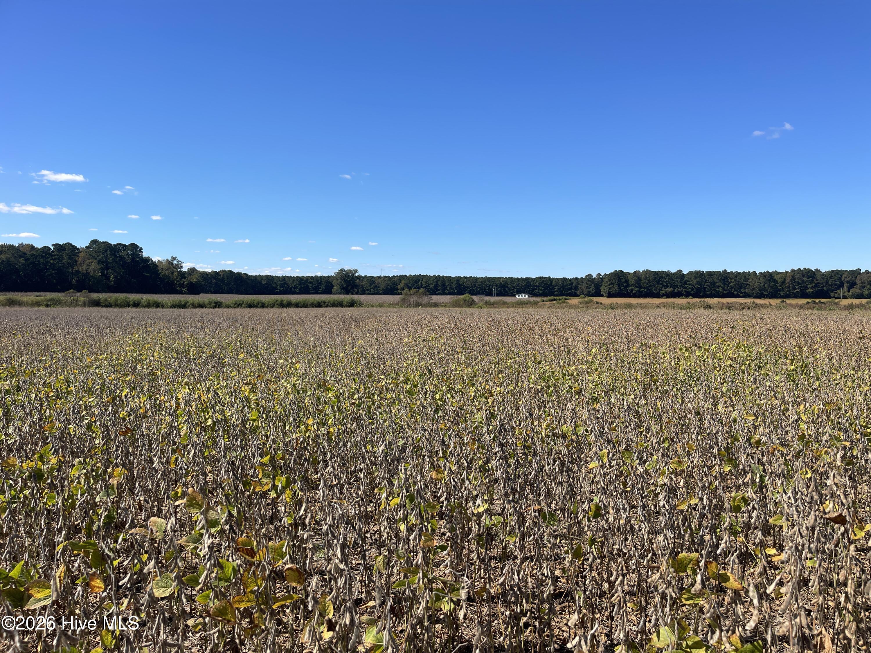 0 Southwood Road Kinston, NC 28501 - Photo 4 of 8 IMG_3713