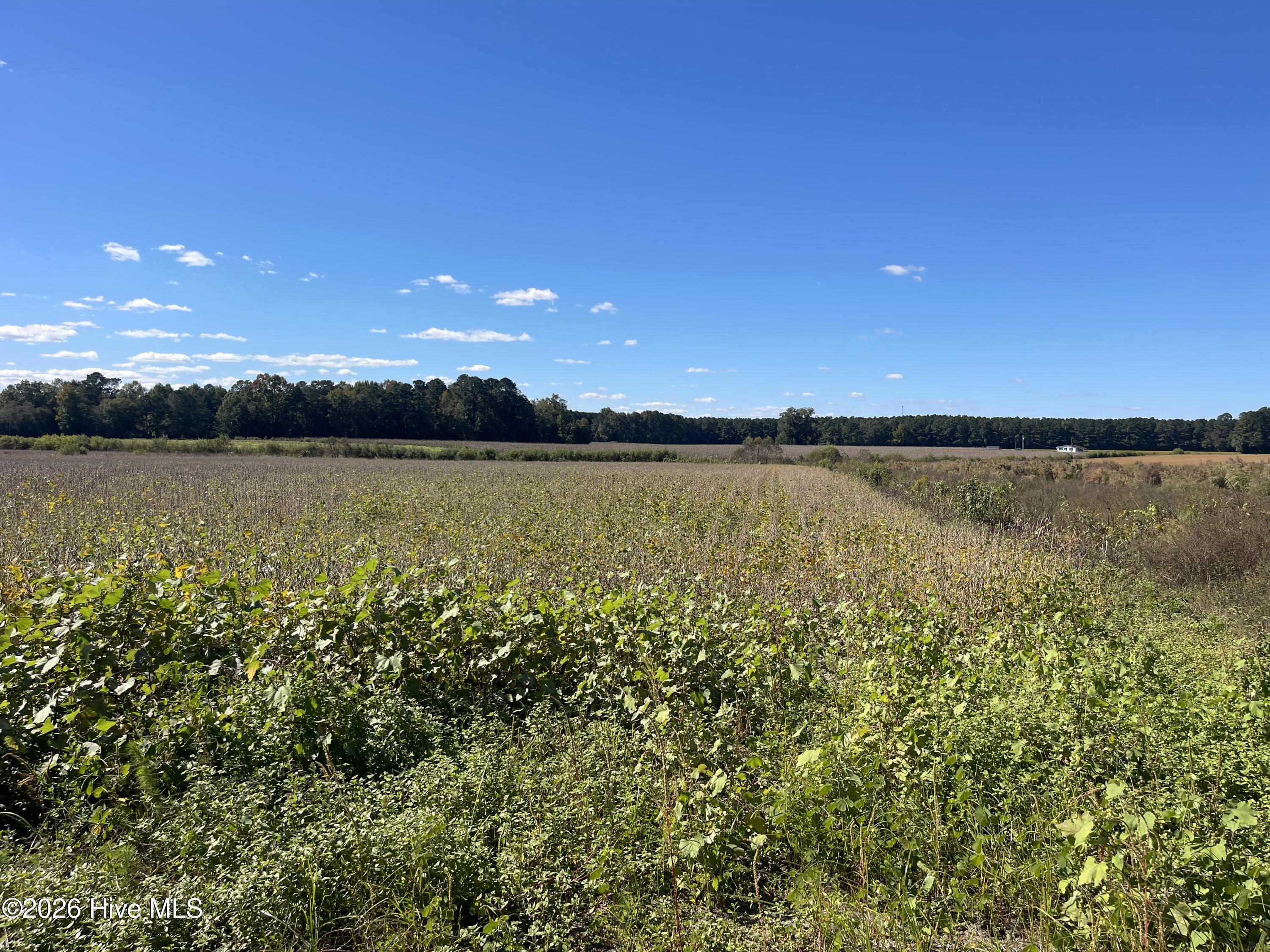 0 Southwood Road Kinston, NC 28501 - Photo 5 of 8 IMG_3712