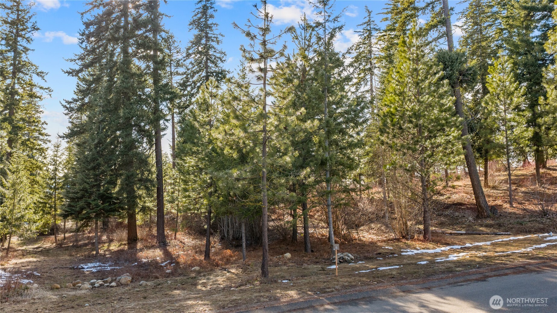 11 Red Sky Way Ronald, WA 98940 - Photo 7 of 12 a view of a forest with trees