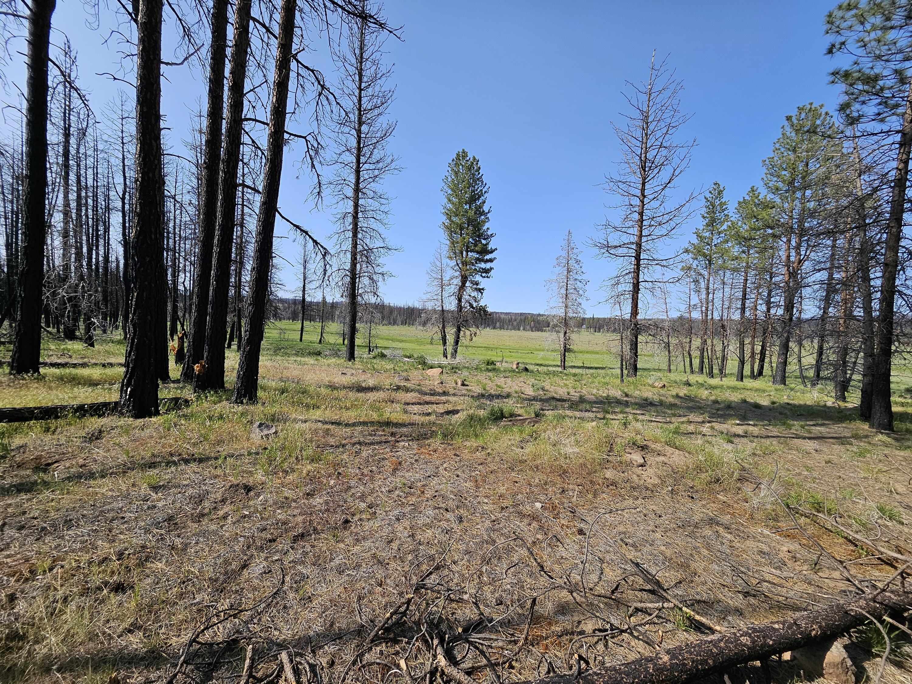 8 Parazoo Trail Bly, OR 97622 - Photo 4 of 27 20250601_164939