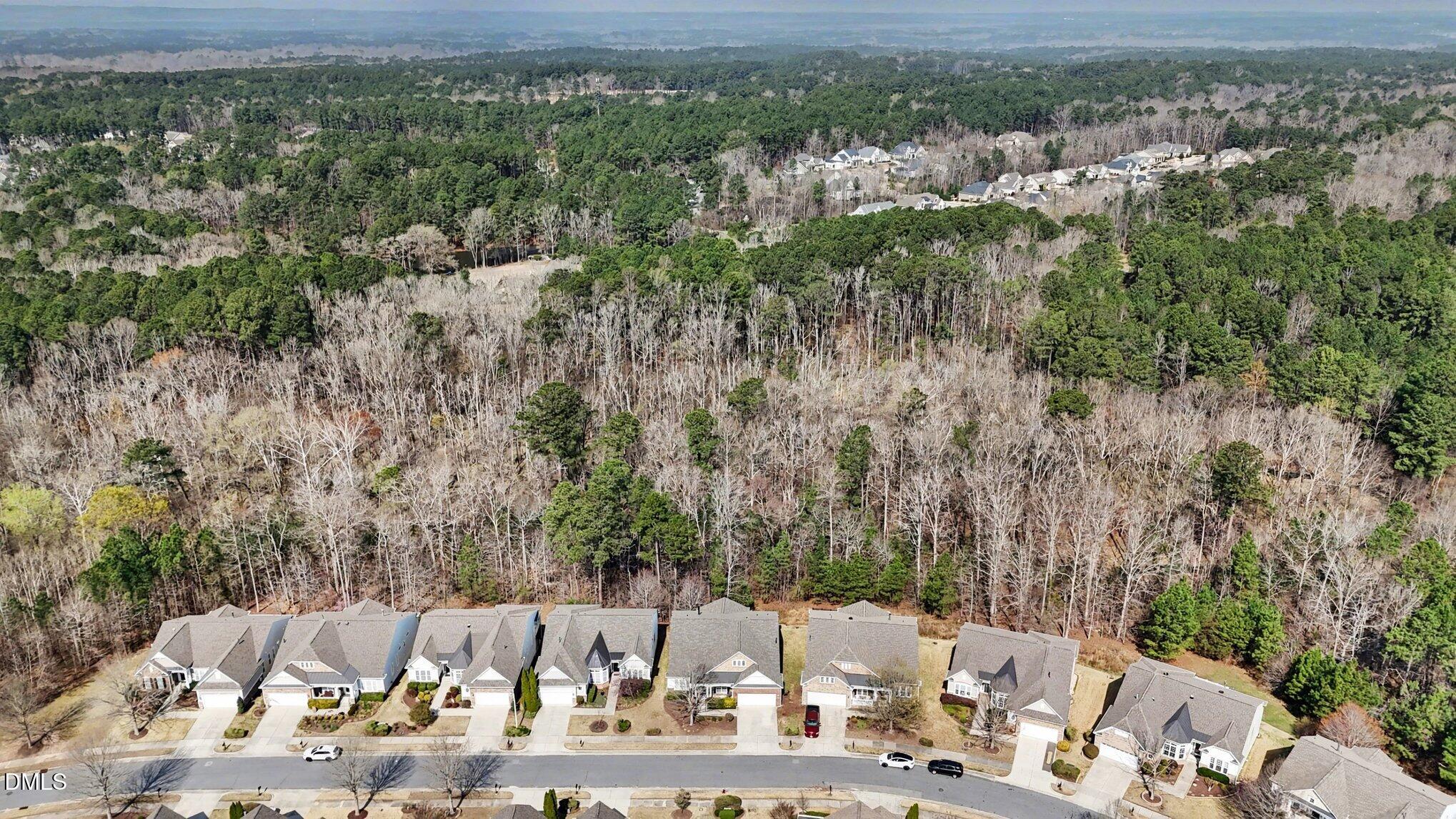 281 Beckingham Loop Cary, NC 27519 - Photo 50 of 56 a view of a city