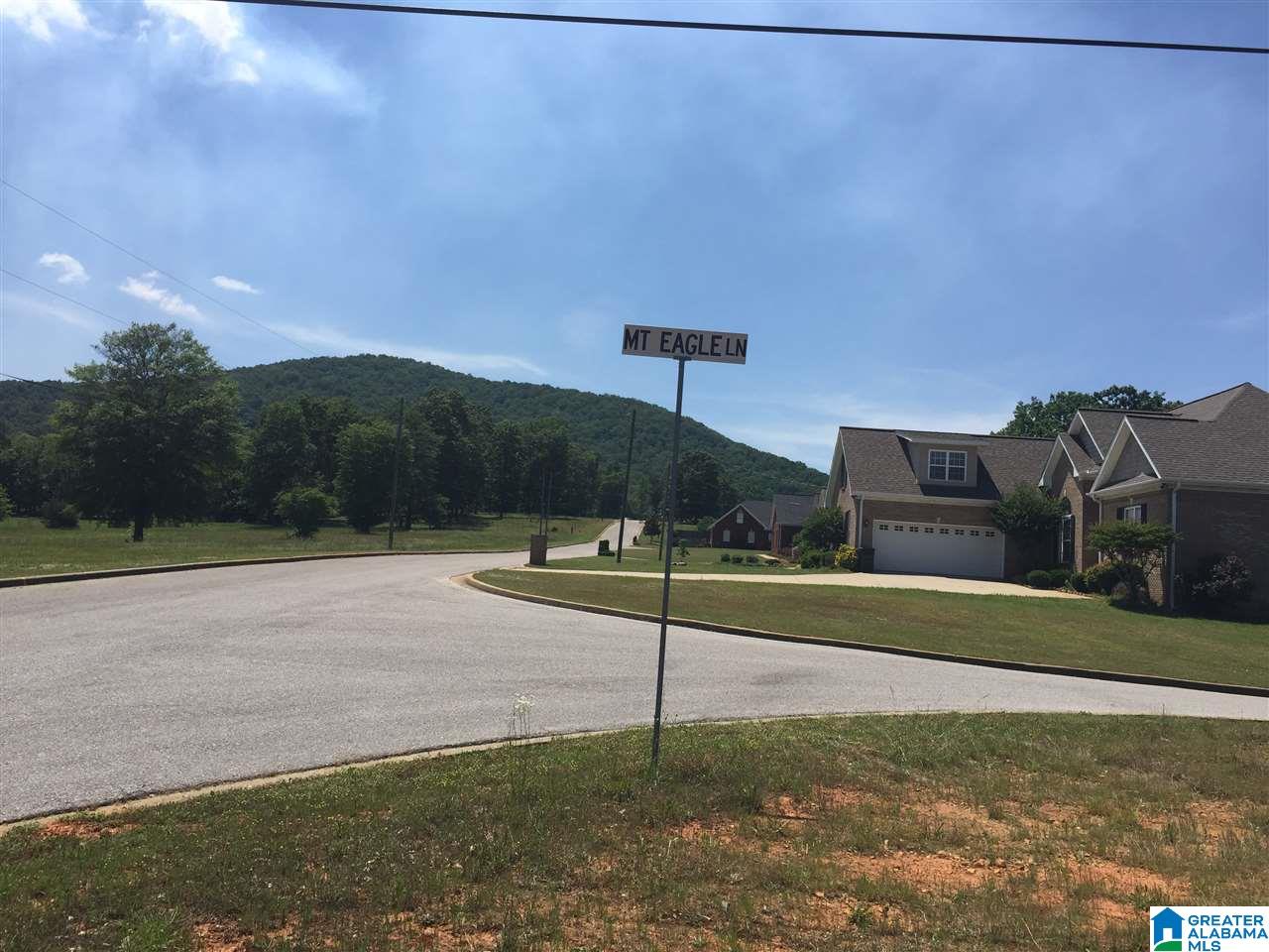 0 Mount Eagle Lane, Unit 1 Anniston, AL 36207 - Photo 9 of 19