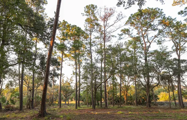 $1,995,000 | 0 Haswell Street, Daniel Island, SC 29492