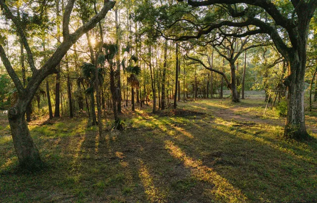 $1,995,000 | 0 Haswell Street, Daniel Island, SC 29492