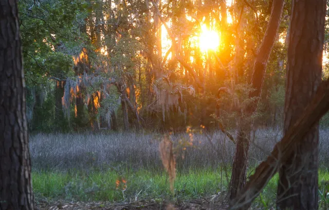 $1,995,000 | 0 Haswell Street, Daniel Island, SC 29492