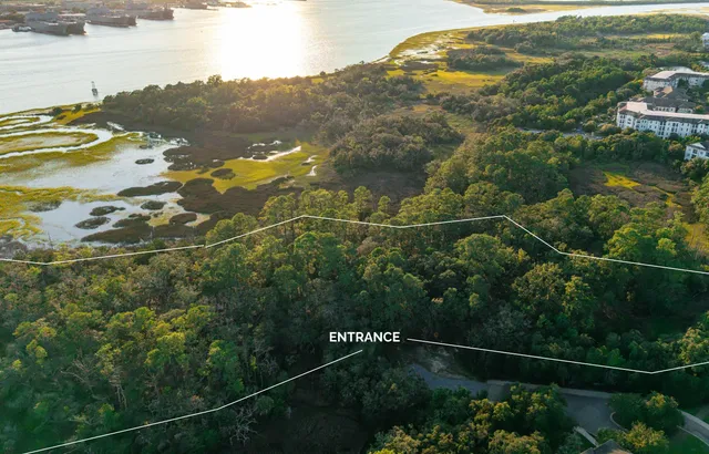 $1,995,000 | 0 Haswell Street, Daniel Island, SC 29492