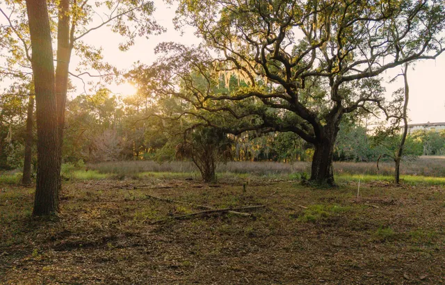 $1,995,000 | 0 Haswell Street, Daniel Island, SC 29492