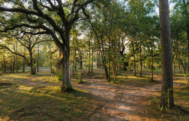 $1,995,000 | 0 Haswell Street, Daniel Island, SC 29492