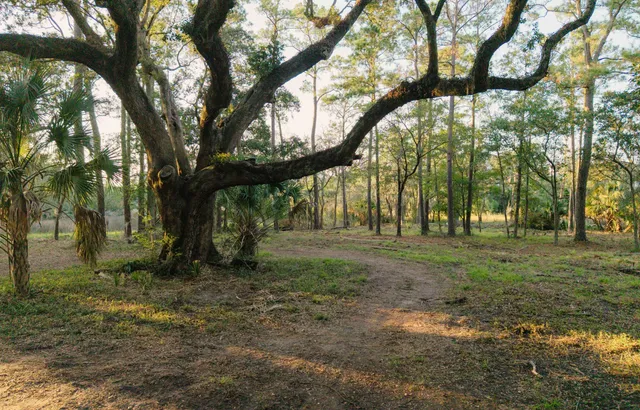 $1,995,000 | 0 Haswell Street, Daniel Island, SC 29492