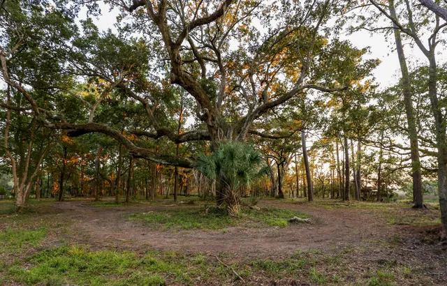 $1,995,000 | 0 Haswell Street, Daniel Island, SC 29492