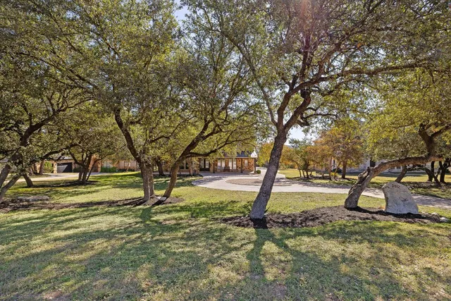 a view of a yard with a tree