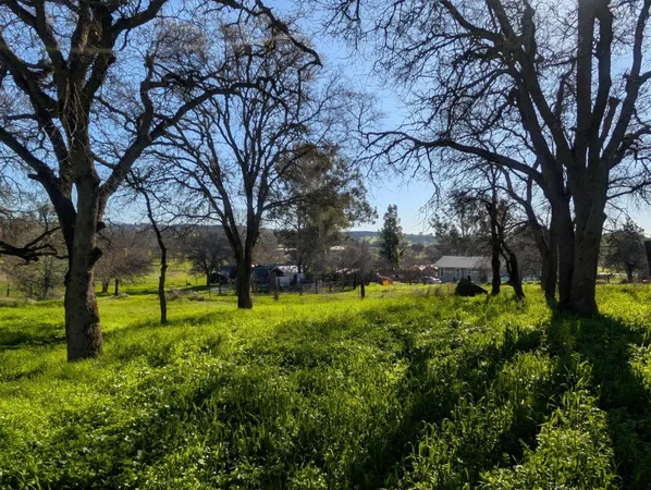 $375,000 | 3436 Davis Drive, Burson, CA 95225