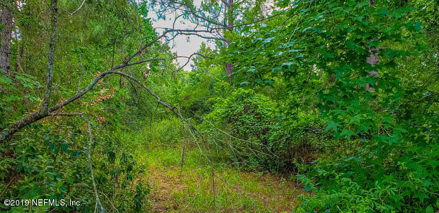54025 Bea Road Callahan, FL 32011 - Photo 3 of 3 a view of a lush green space