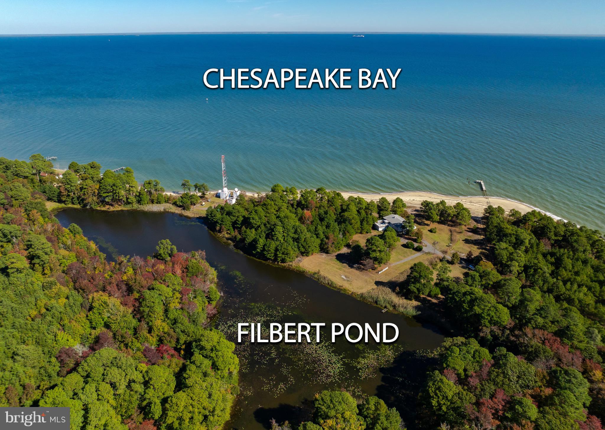 50645 Holly Point Road Dameron, MD 20628 - Photo 20 of 99