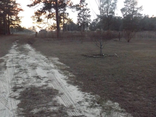 2163 Green Pond Road Aiken, SC 29803 - Photo 13 of 14