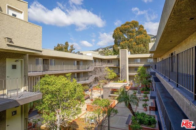 a view of a potted plants on a patio