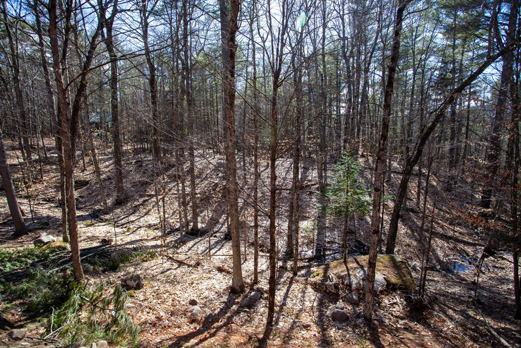 23 Mohawk Path Jay, NY 12941 - Photo 19 of 19 Gallery Image 19