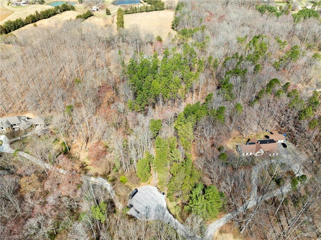 8804 Dapple Grey Road Oak Ridge, NC 27310 - Photo 42 of 48