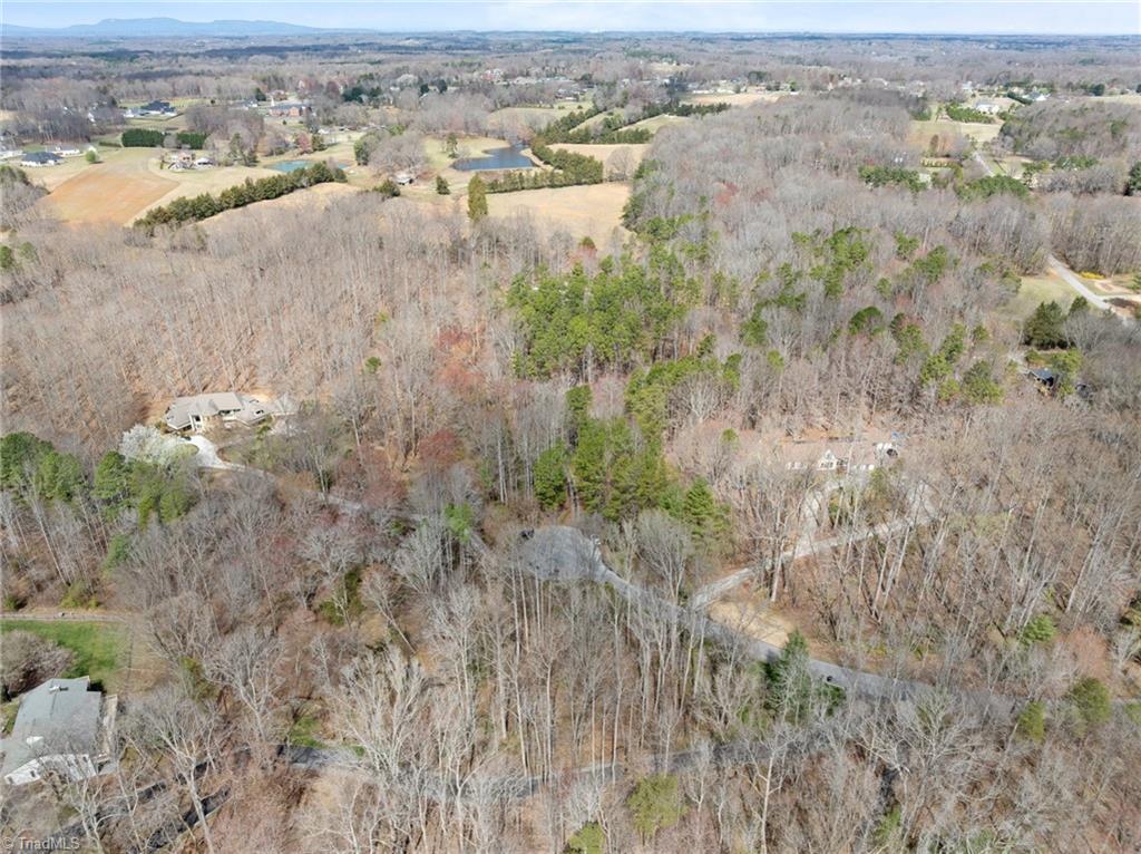 8804 Dapple Grey Road Oak Ridge, NC 27310 - Photo 44 of 48