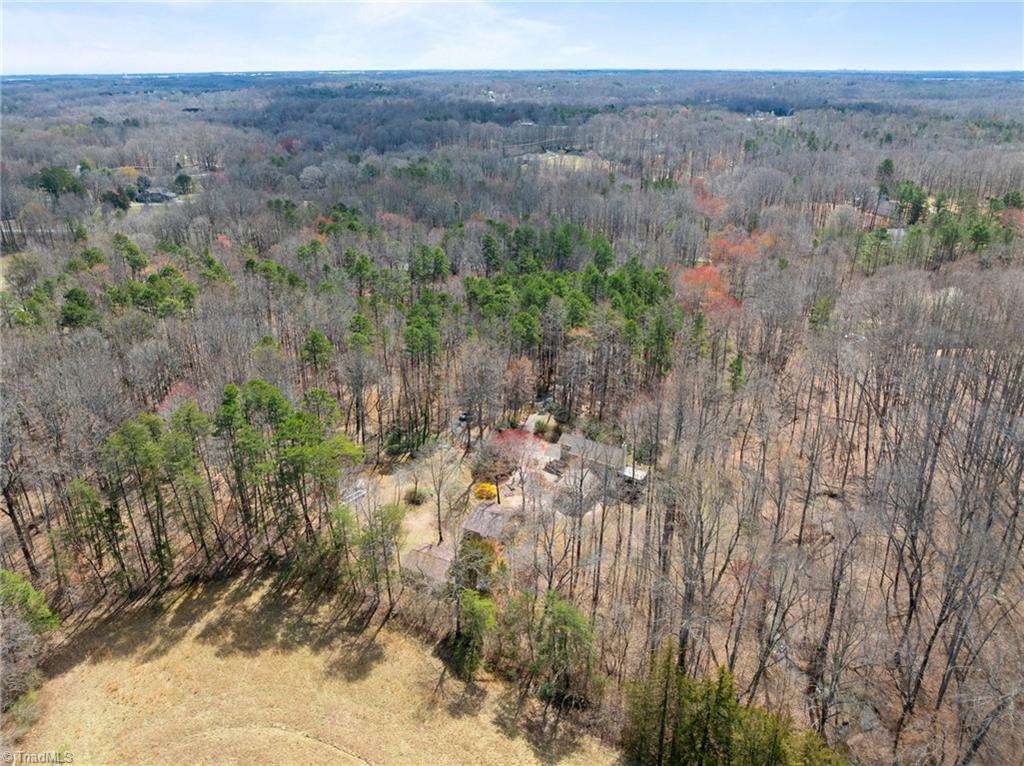 8804 Dapple Grey Road Oak Ridge, NC 27310 - Photo 46 of 48