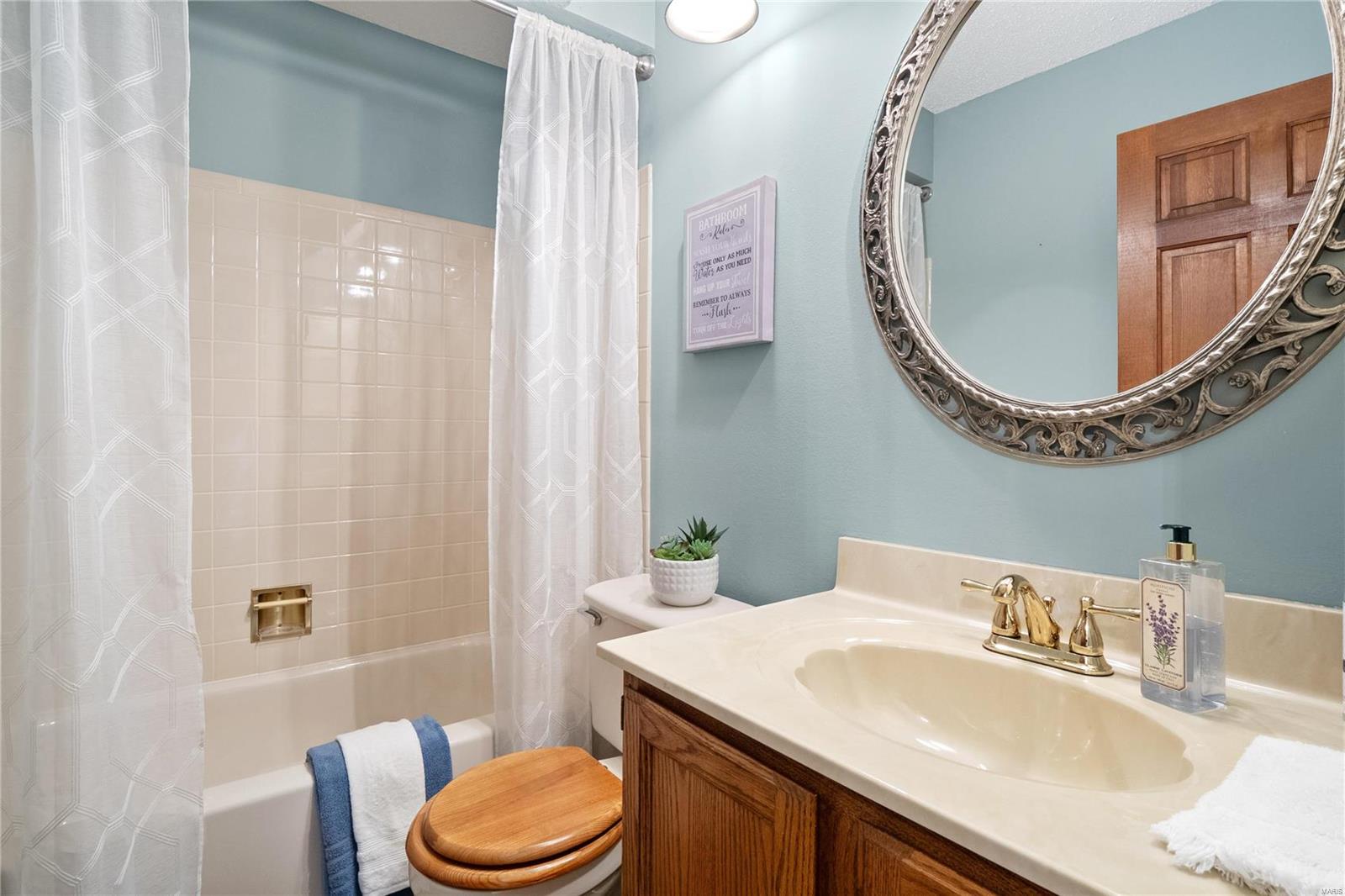 921 Alpine Ridge Drive Ballwin, MO 63021 - Photo 21 of 34 Gallery Image 21