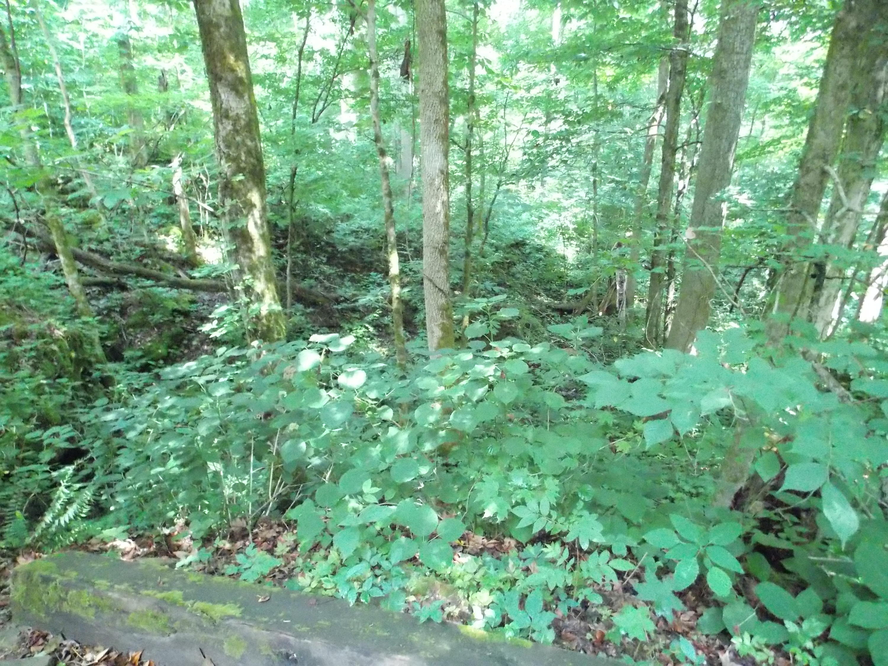 2090 Hening Road Monterey, TN 38574 - Photo 28 of 34 DSCN1921