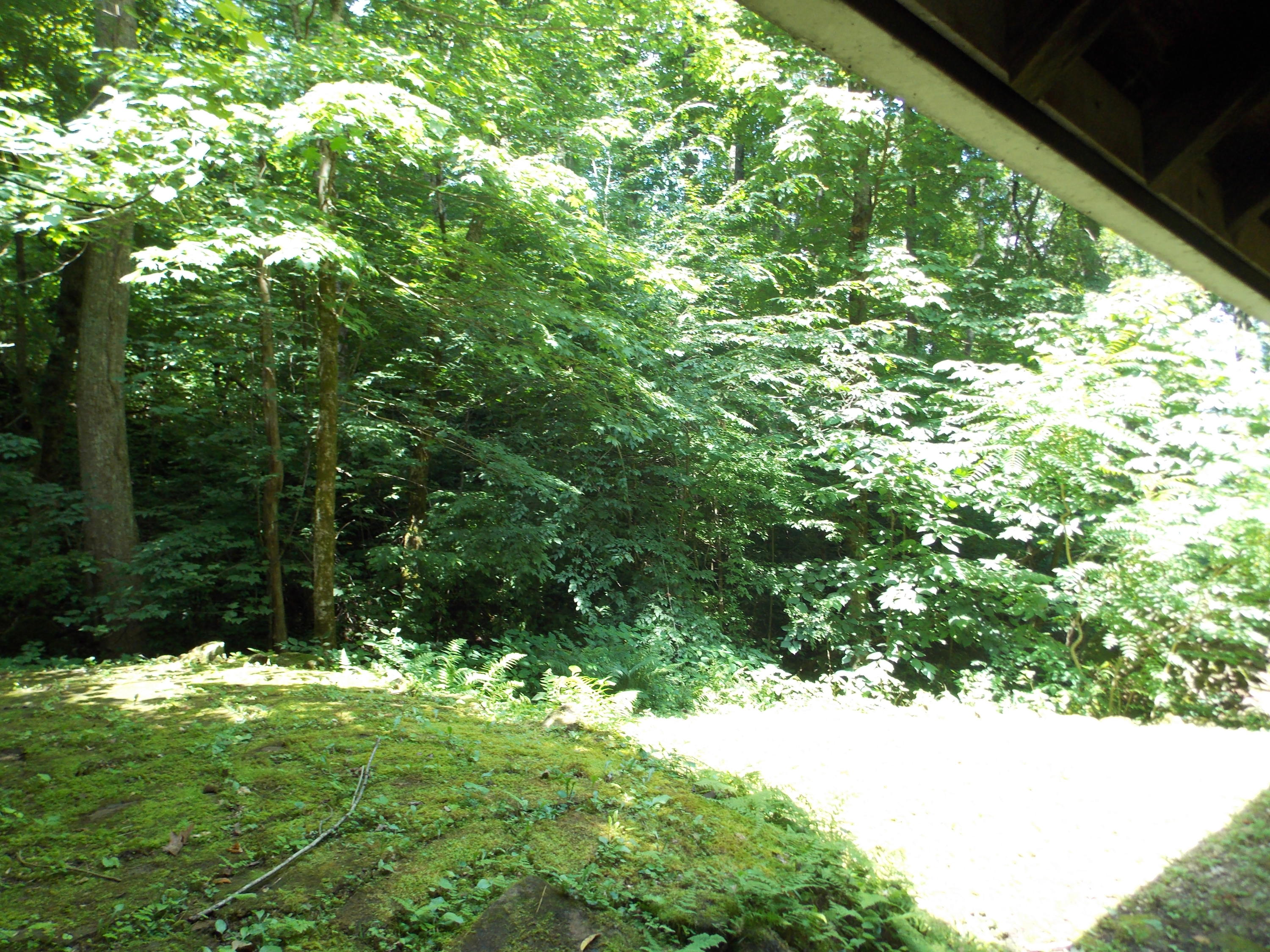 2090 Hening Road Monterey, TN 38574 - Photo 31 of 34 DSCN1961