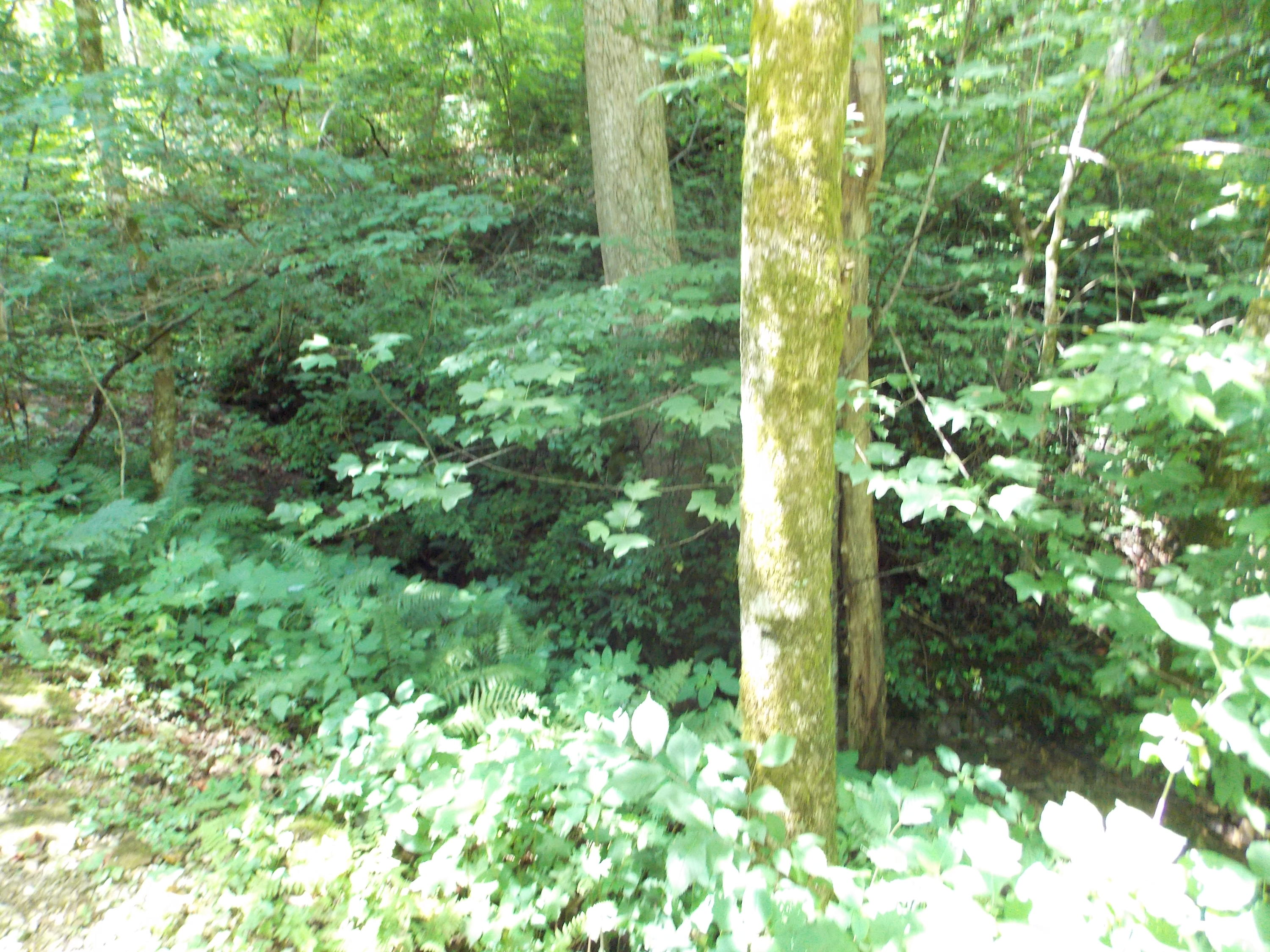 2090 Hening Road Monterey, TN 38574 - Photo 32 of 34 DSCN1956