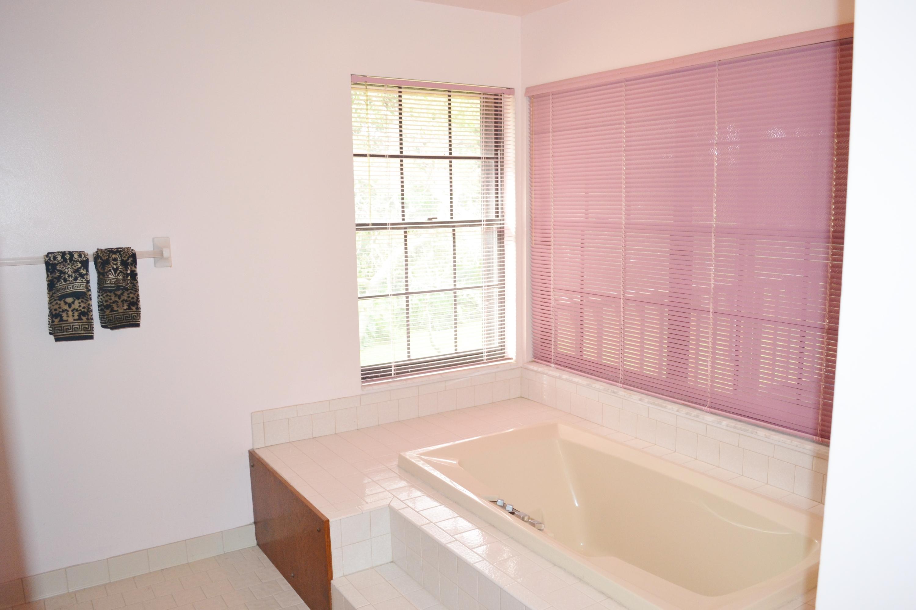 6063 Wood Lake Road Jupiter, FL 33458 - Photo 41 of 60 WINDOW AND TUB IN MASTER BATHROOM