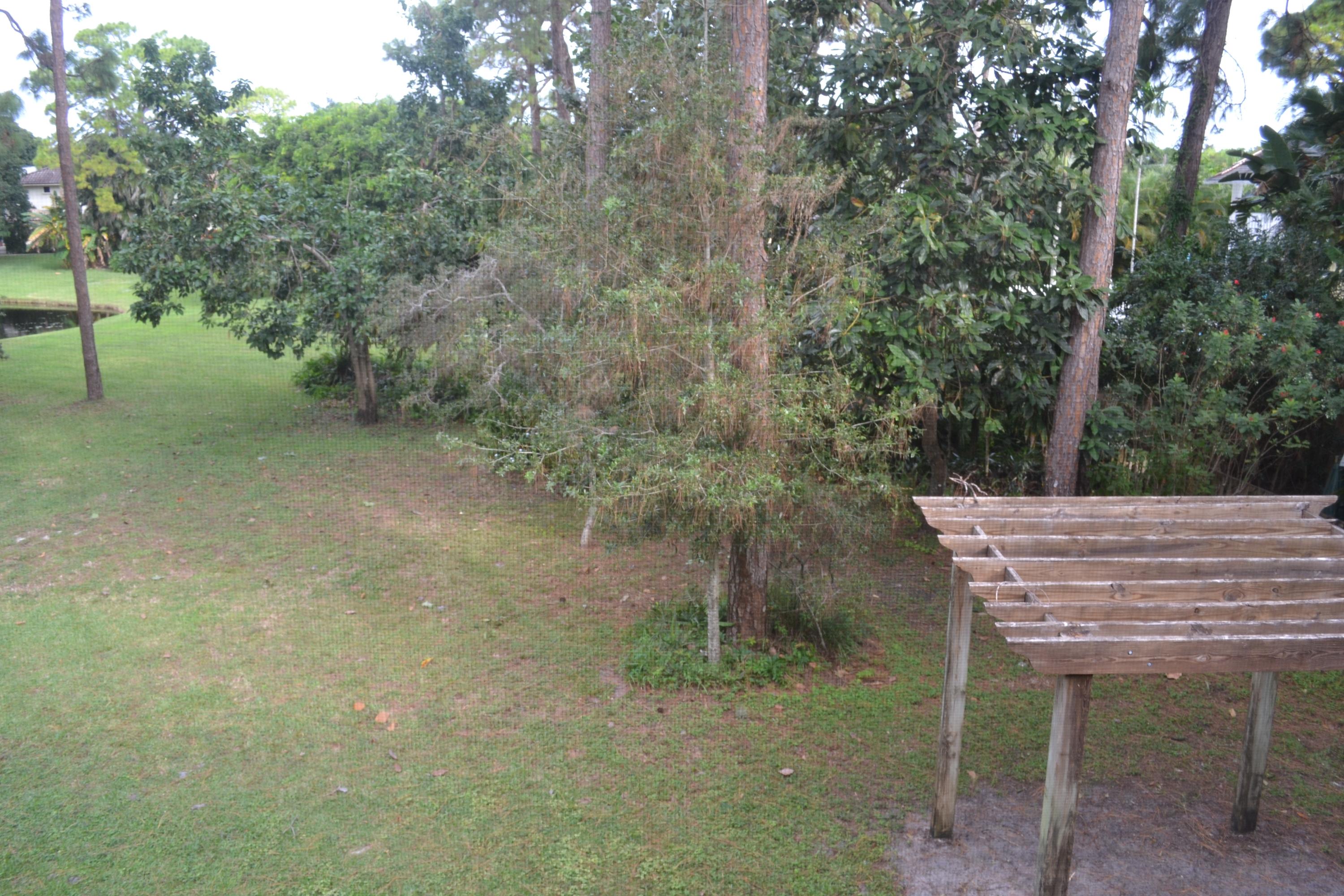 6063 Wood Lake Road Jupiter, FL 33458 - Photo 48 of 60 VIEW OF TRELLIS FROM SCREENED PORCH