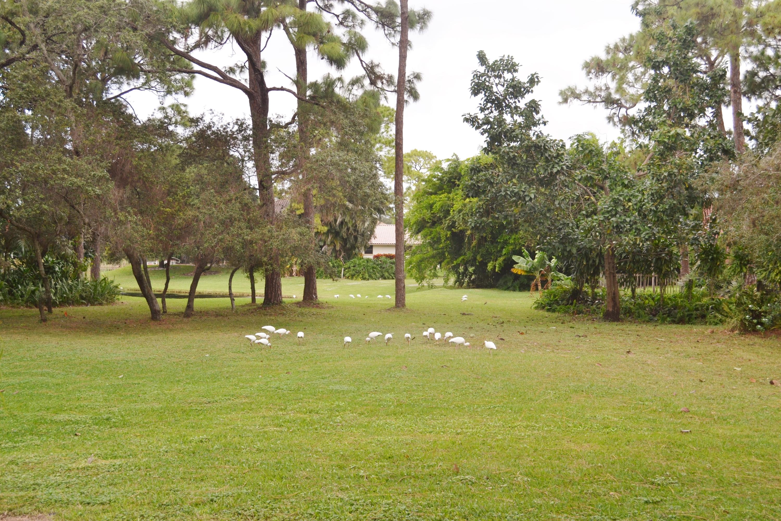 6063 Wood Lake Road Jupiter, FL 33458 - Photo 54 of 60 LONG VIEW OF BACK YARD AND LAKE