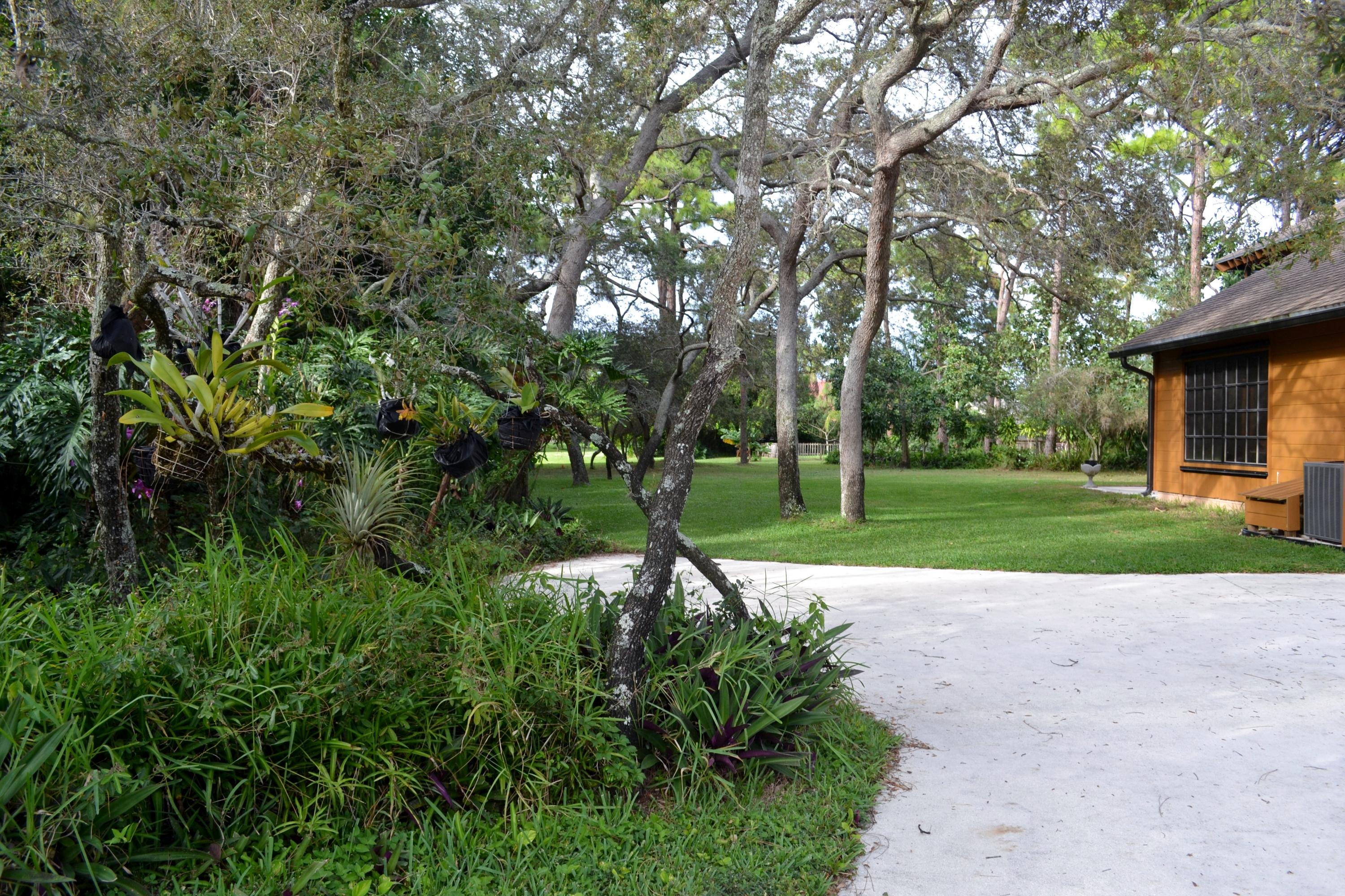 6063 Wood Lake Road Jupiter, FL 33458 - Photo 60 of 60 DRIVEWAY VIEWS OF THE BACK YARD