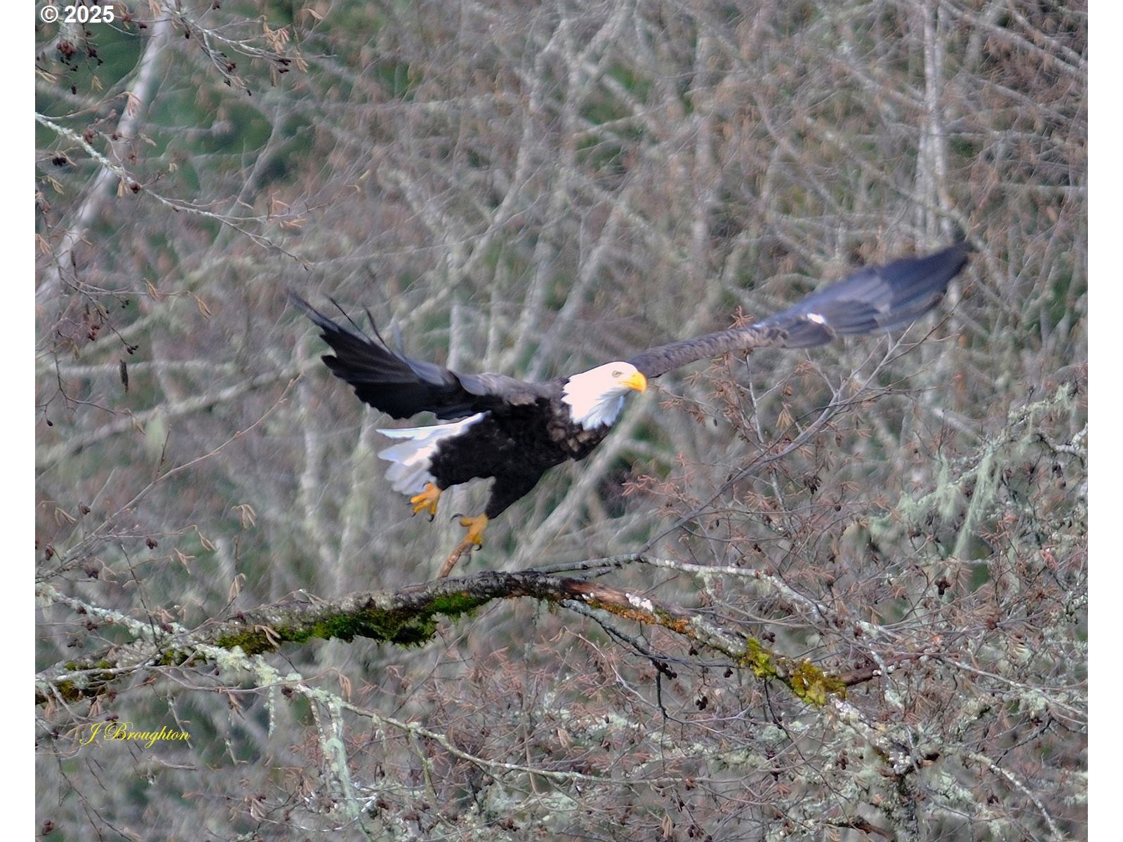 a view of outside area