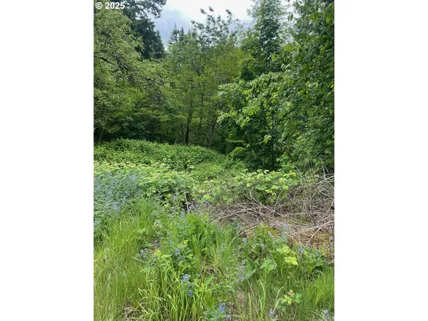 $96,000 | Carson Depot Road, Carson, WA 98610