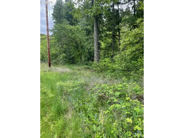 $96,000 | Carson Depot Road, Carson, WA 98610