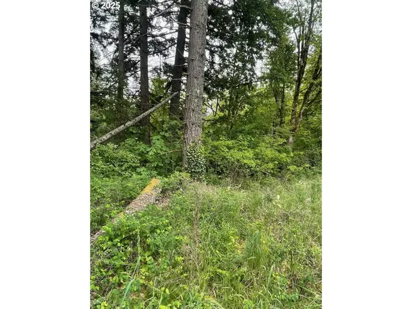 $96,000 | Carson Depot Road, Carson, WA 98610