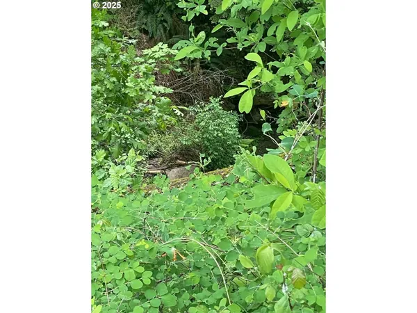 $96,000 | Carson Depot Road, Carson, WA 98610