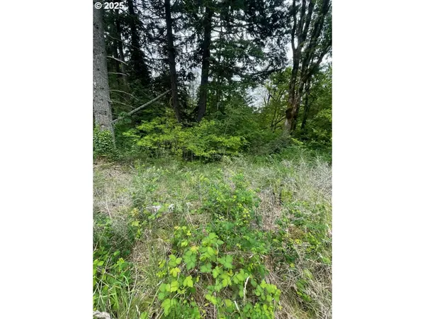 $96,000 | Carson Depot Road, Carson, WA 98610