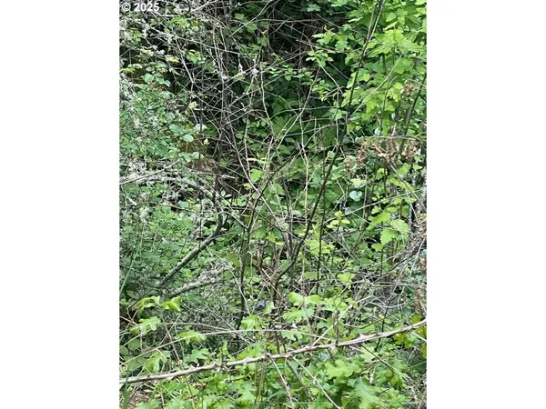 $96,000 | Carson Depot Road, Carson, WA 98610