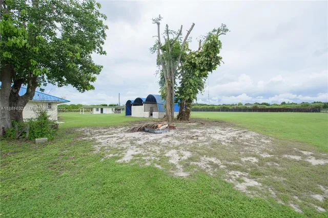 a view of a park with large trees