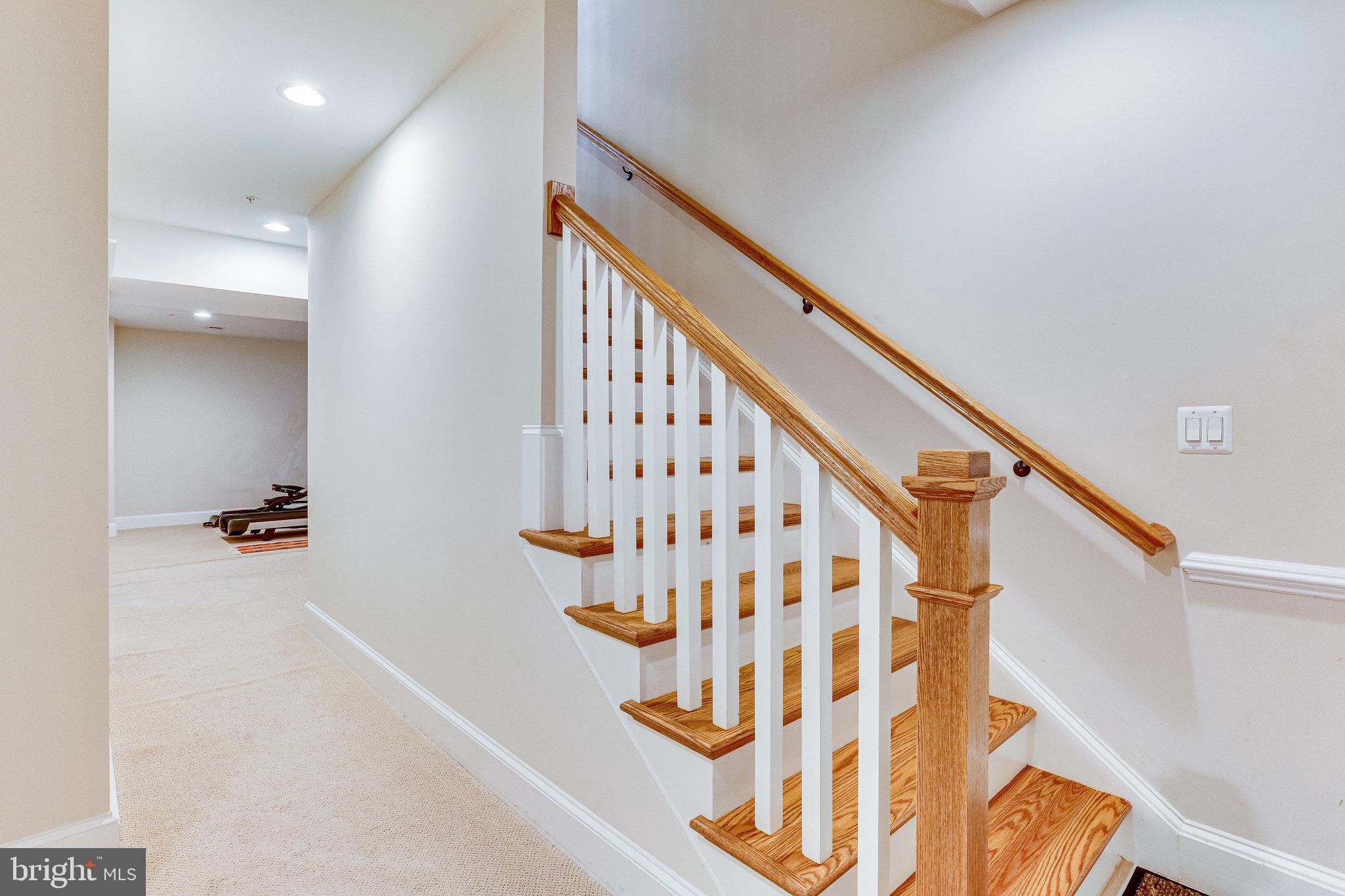 6109 Kirby Road Bethesda, MD 20817 - Photo 57 of 64 Lower level
