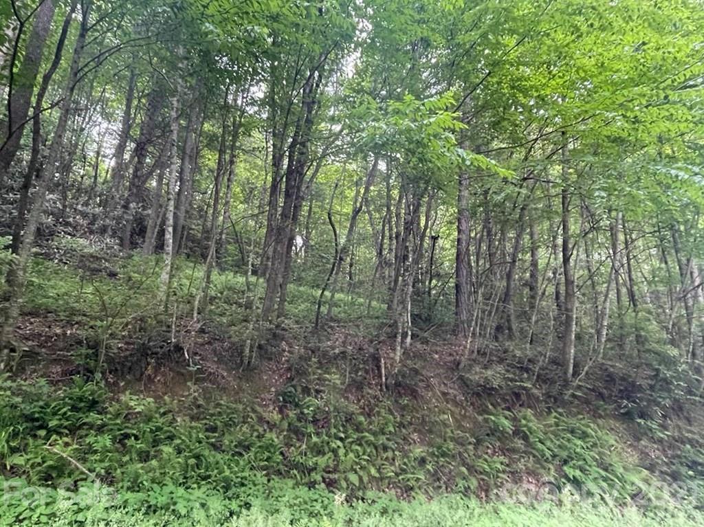 0 Cornelious Ashe Road Whittier, NC 28789 - Photo 2 of 4 Gallery Image 2