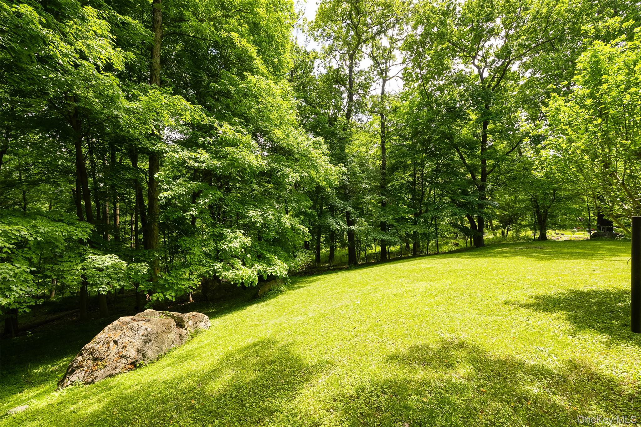 164 Bohl Road Hopewell Junction, NY 12533 - Photo 6 of 30 a view of a yard with a tree